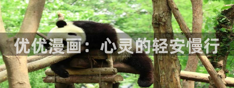 韩漫之家在线观看免费