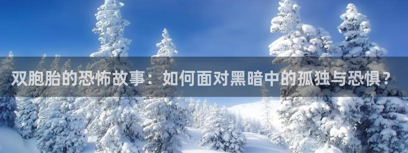 漫画韩漫首页在线免费观看入口：双胞胎的恐怖故事：如何面对黑暗中的孤独与恐惧？