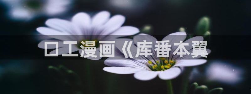 韩漫无遮挡漫画免费看：口工漫画《库番本翼