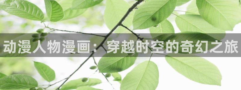 看日韩漫画的软件：动漫人物漫画：穿越时空的奇幻之旅