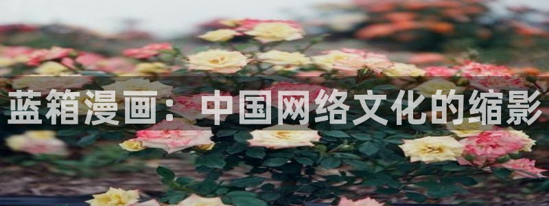 韩漫疯狗漫画免费在线观看：蓝箱漫画：中国网络文化的缩影
