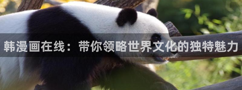 韩漫双男主网站
