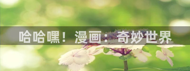 51韩漫网站