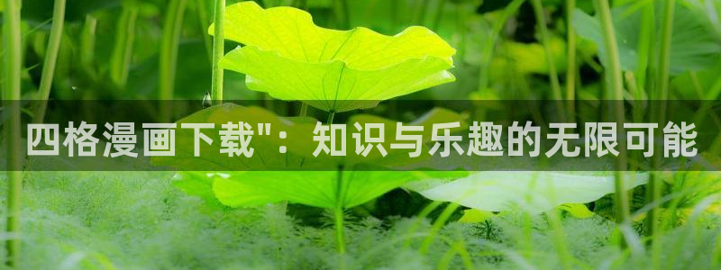 韩漫网站双男主：四格漫画下载\