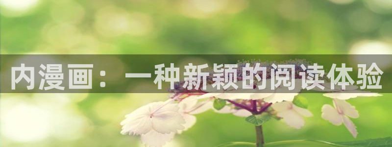 韩漫免费下拉式漫画网站双男主：内漫画：一种新颖的阅读体验