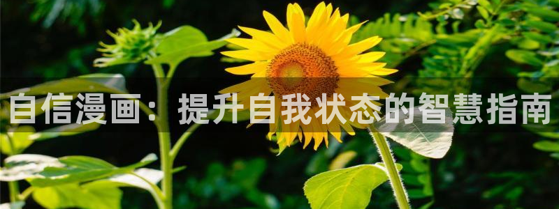 在线观看韩漫大全：自信漫画：提升自我状态的智慧指南