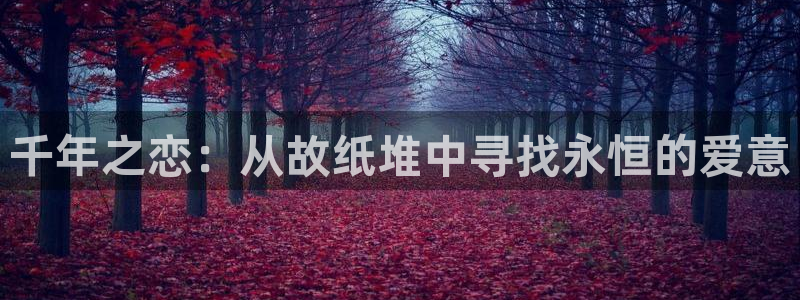 看韩漫的漫画的网站：千年之恋：从故纸堆中寻找永恒的爱意