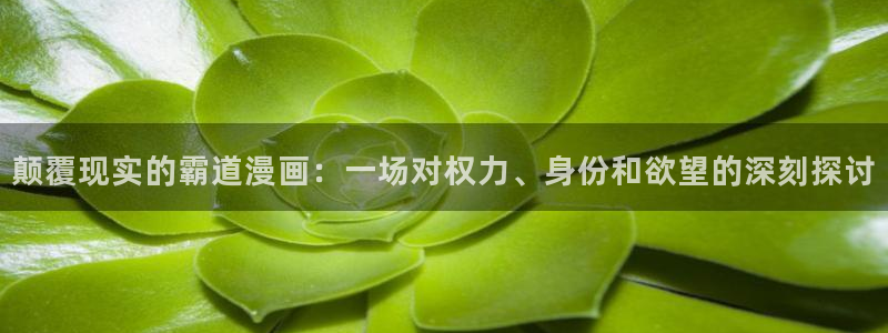 韩漫画 在线：颠覆现实的霸道漫画：一场对权力、身份和欲望的深刻探讨