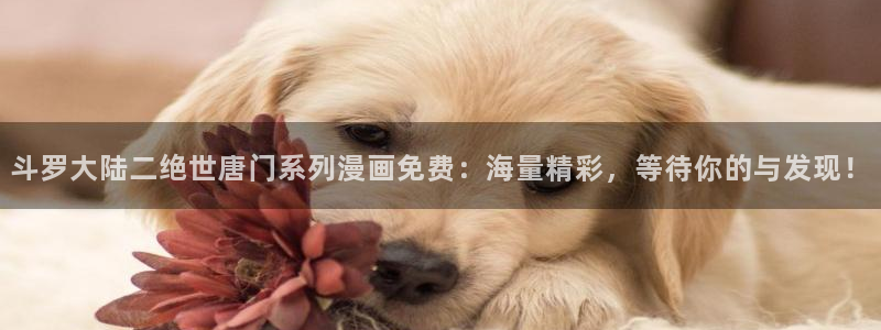 韩漫免费在线观看.：斗罗大陆二绝世唐门系列漫画免费：海量精彩，等待你的与发现！