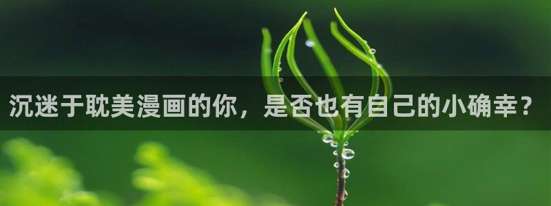 哈哈漫画网韩漫免费：沉迷于耽美漫画的你，是否也有自己的小确幸？