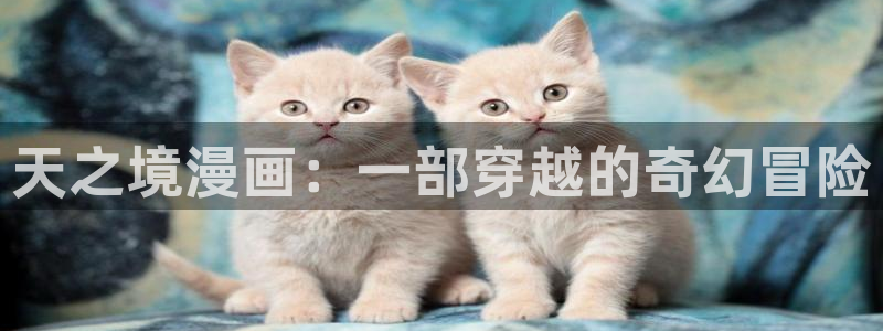 韩漫免费阅读漫画全集免费下拉式：天之境漫画：一部穿越的奇幻冒险