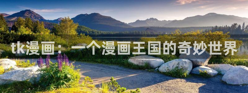 韩漫网站网址：tk漫画：一个漫画王国的奇妙世界